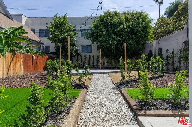 a view of a backyard with plants