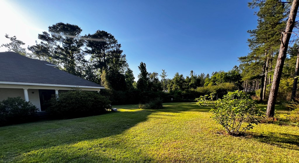 1289-2 Bruner Pond Road Ashford, AL 36312 - Photo 24 of 30 Gallery Image 24