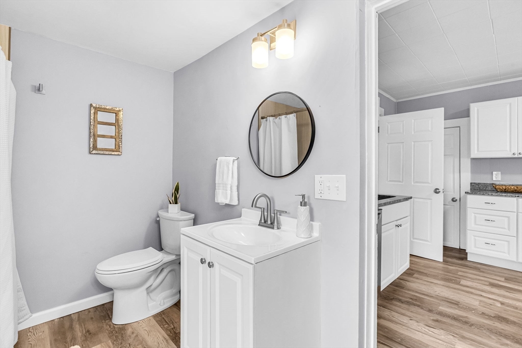 125 Verge Street Springfield, MA 01129 - Photo 24 of 42 a bathroom with a toilet a sink and a mirror