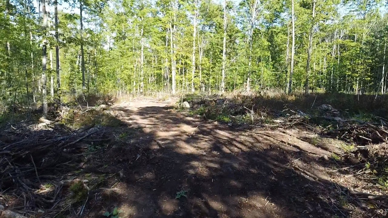 5.5-acre Tower Road Crandon, WI 54520 - Photo 6 of 16 Gallery Image 6
