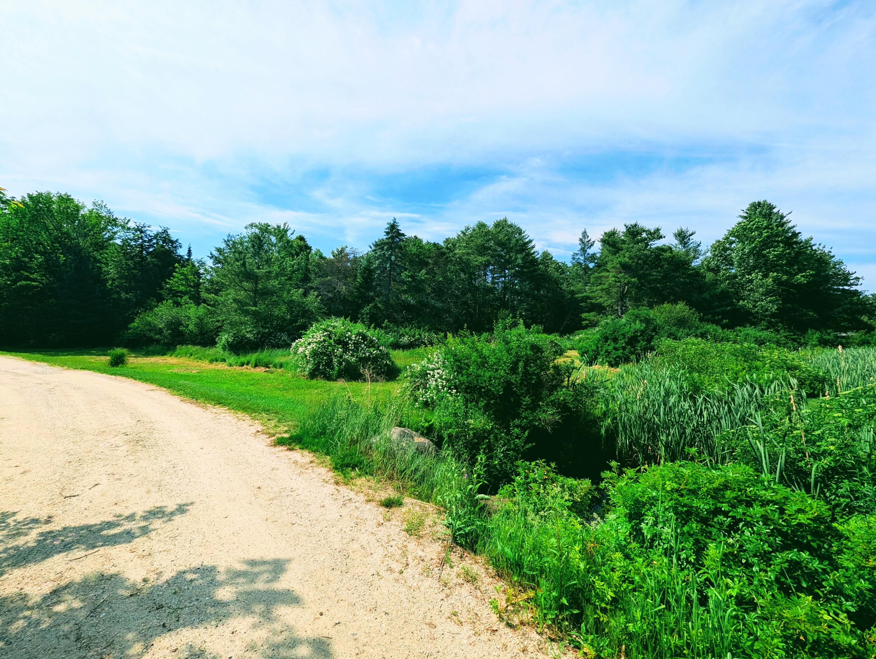 3 Ron Henry Lane Freeport, ME 04032 - Photo 33 of 33 back yard