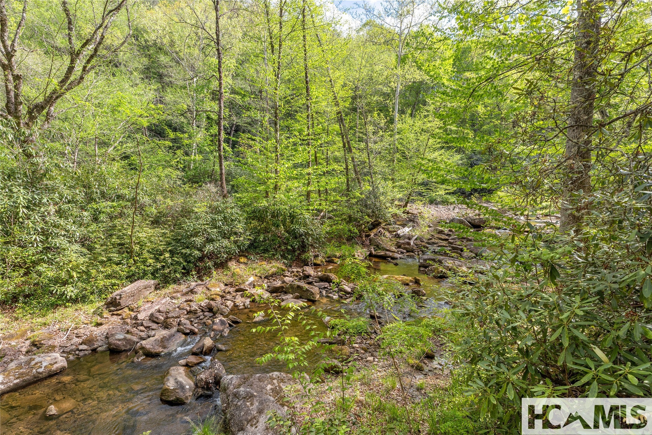 1701 Cullowhee Forest Road Cullowhee, NC 28723 - Photo 73 of 96 Gallery Image 73
