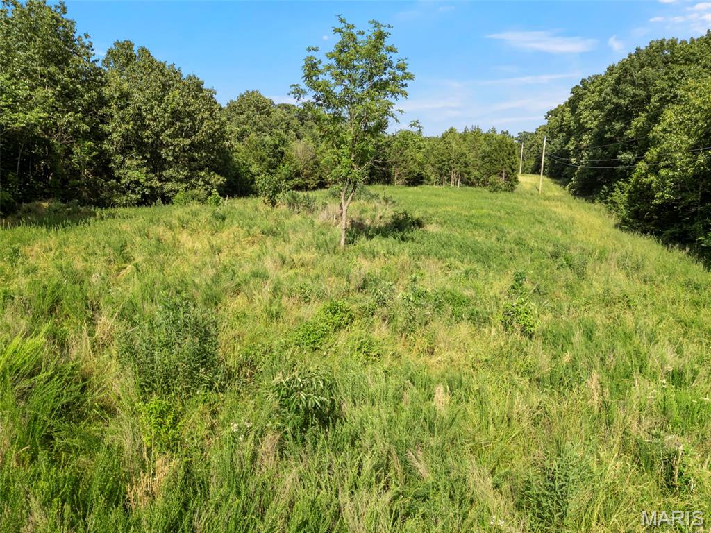 9-acres Timber Ridge Drive Marthasville, MO 63357 - Photo 9 of 22