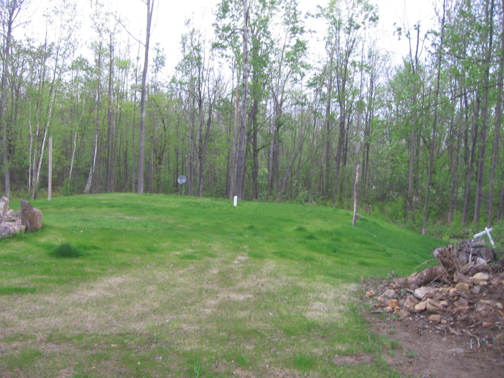 220 Sandisfield Road Sandisfield, MA 01255 - Photo 19 of 30 a view of outdoor space with a garden
