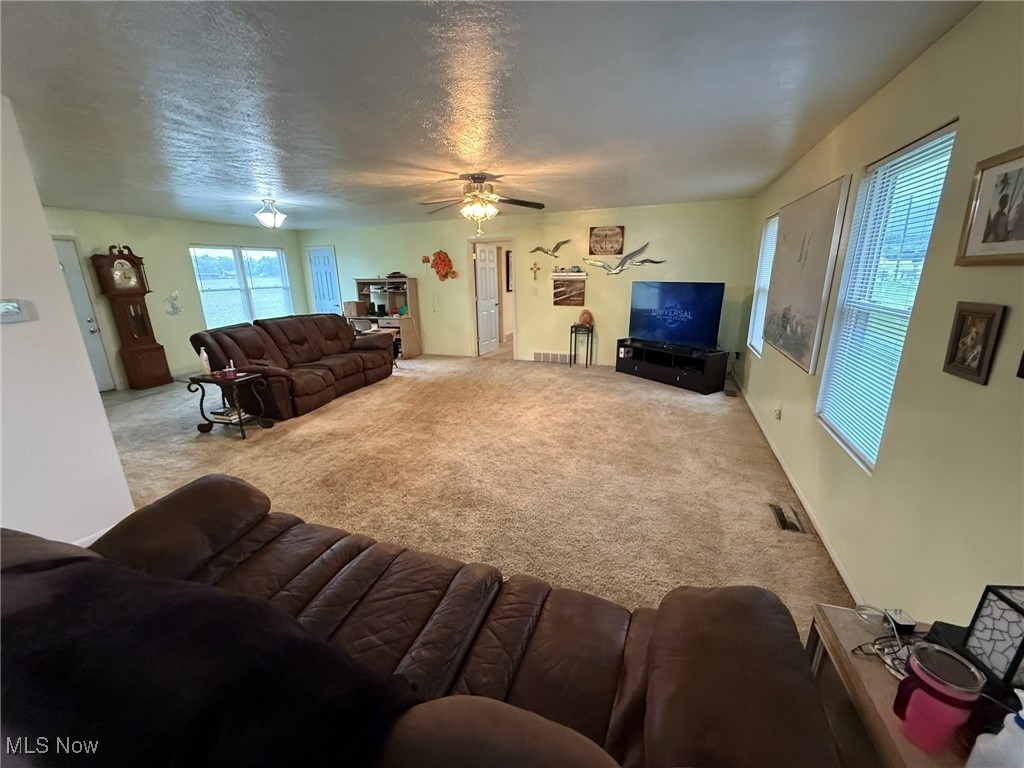 Living room featuring carpet floors and a ceiling fan