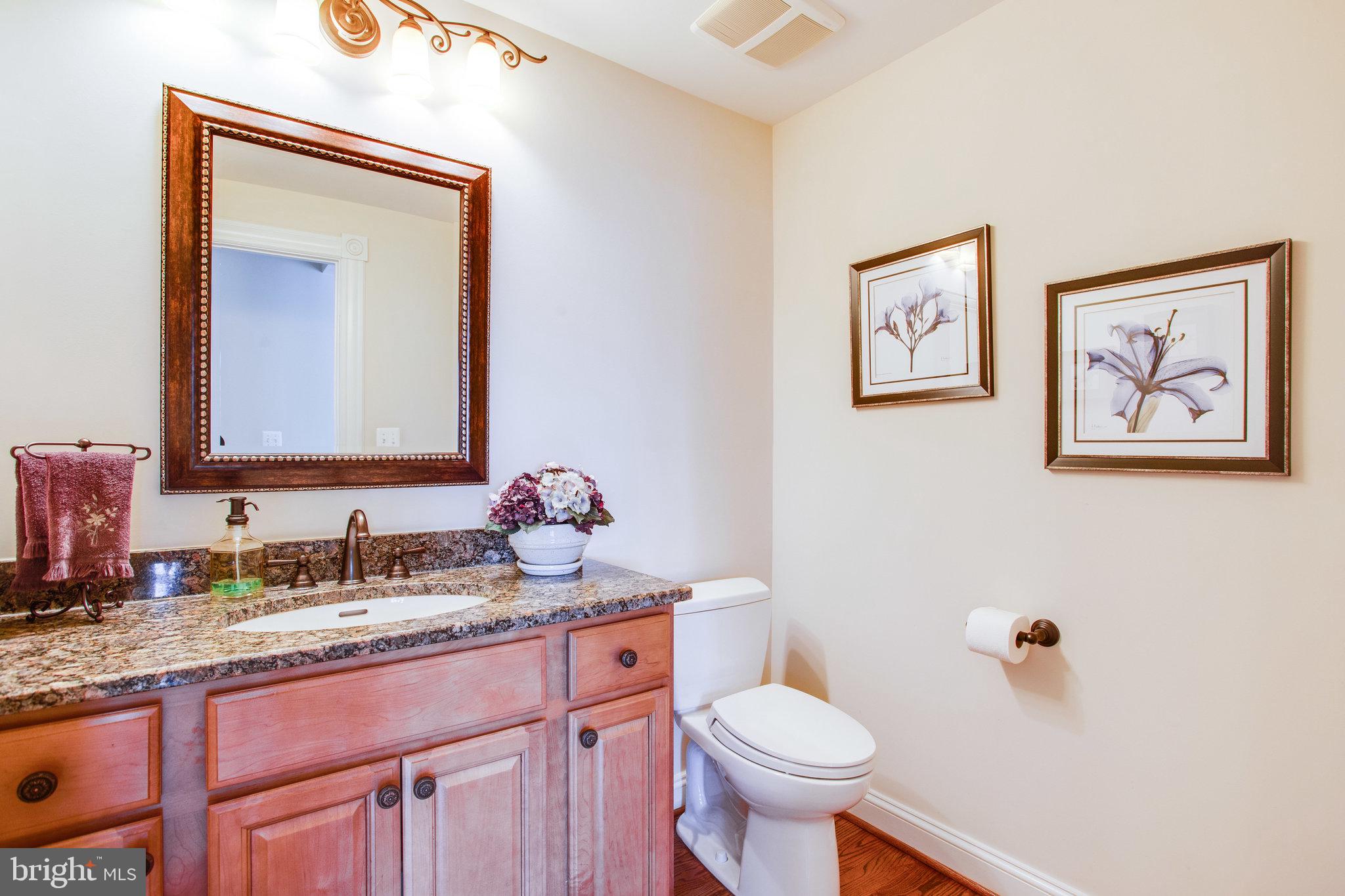10208 Colvin Run Road Great Falls, VA 22066 - Photo 21 of 67 Powder room