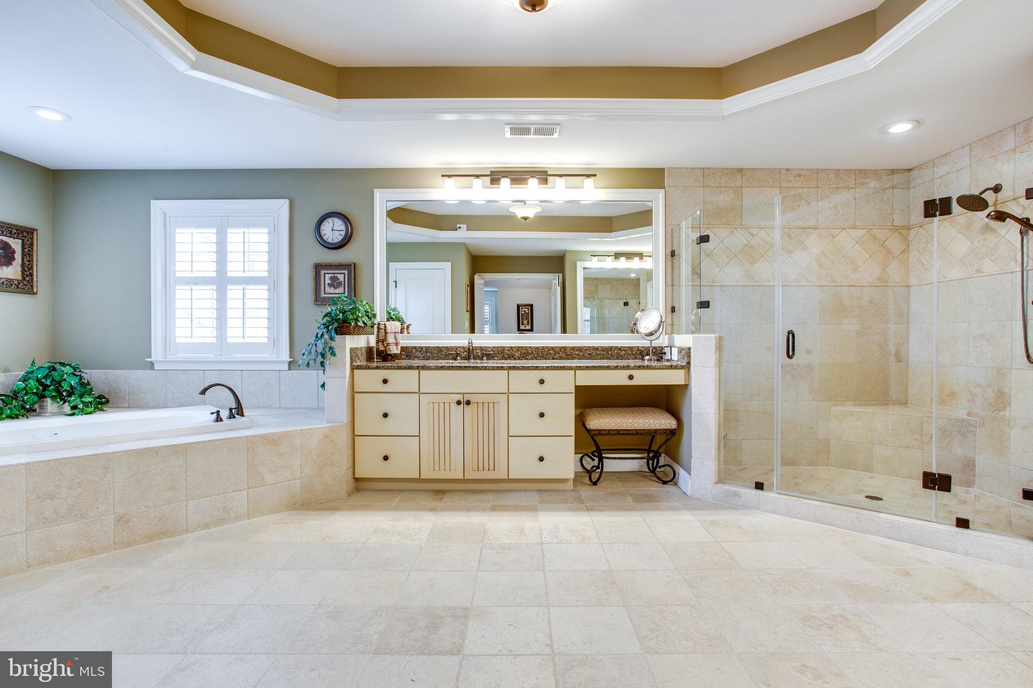 10208 Colvin Run Road Great Falls, VA 22066 - Photo 36 of 67 Owner's bath