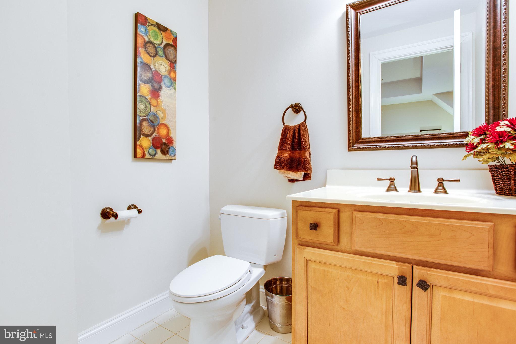 10208 Colvin Run Road Great Falls, VA 22066 - Photo 54 of 67 Lower Level Powder Rm