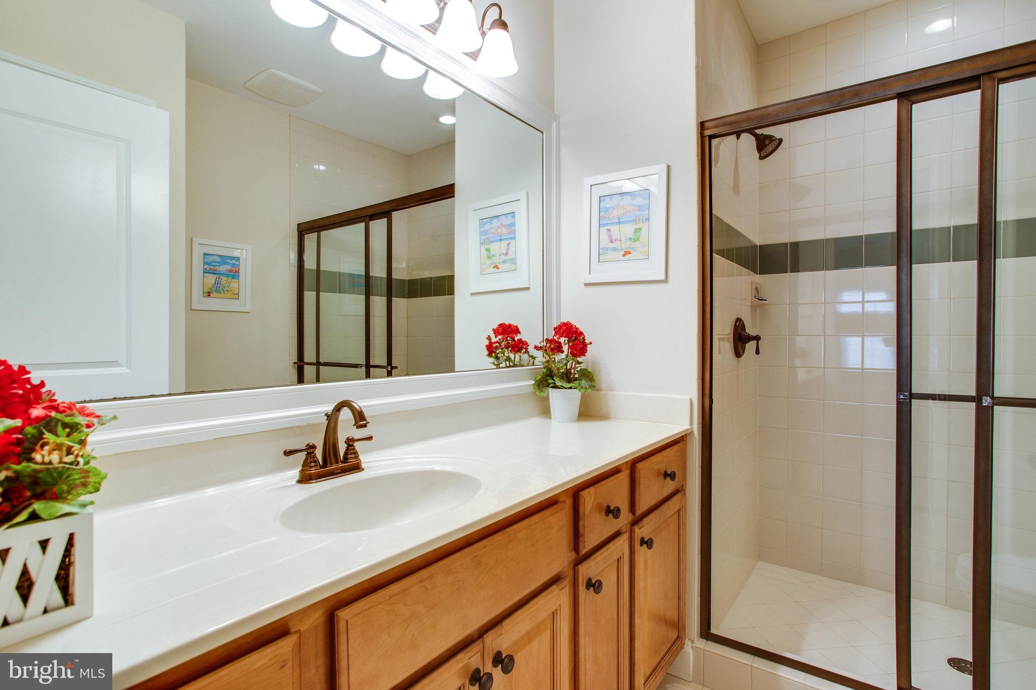 10208 Colvin Run Road Great Falls, VA 22066 - Photo 57 of 67 BR 5 private bath