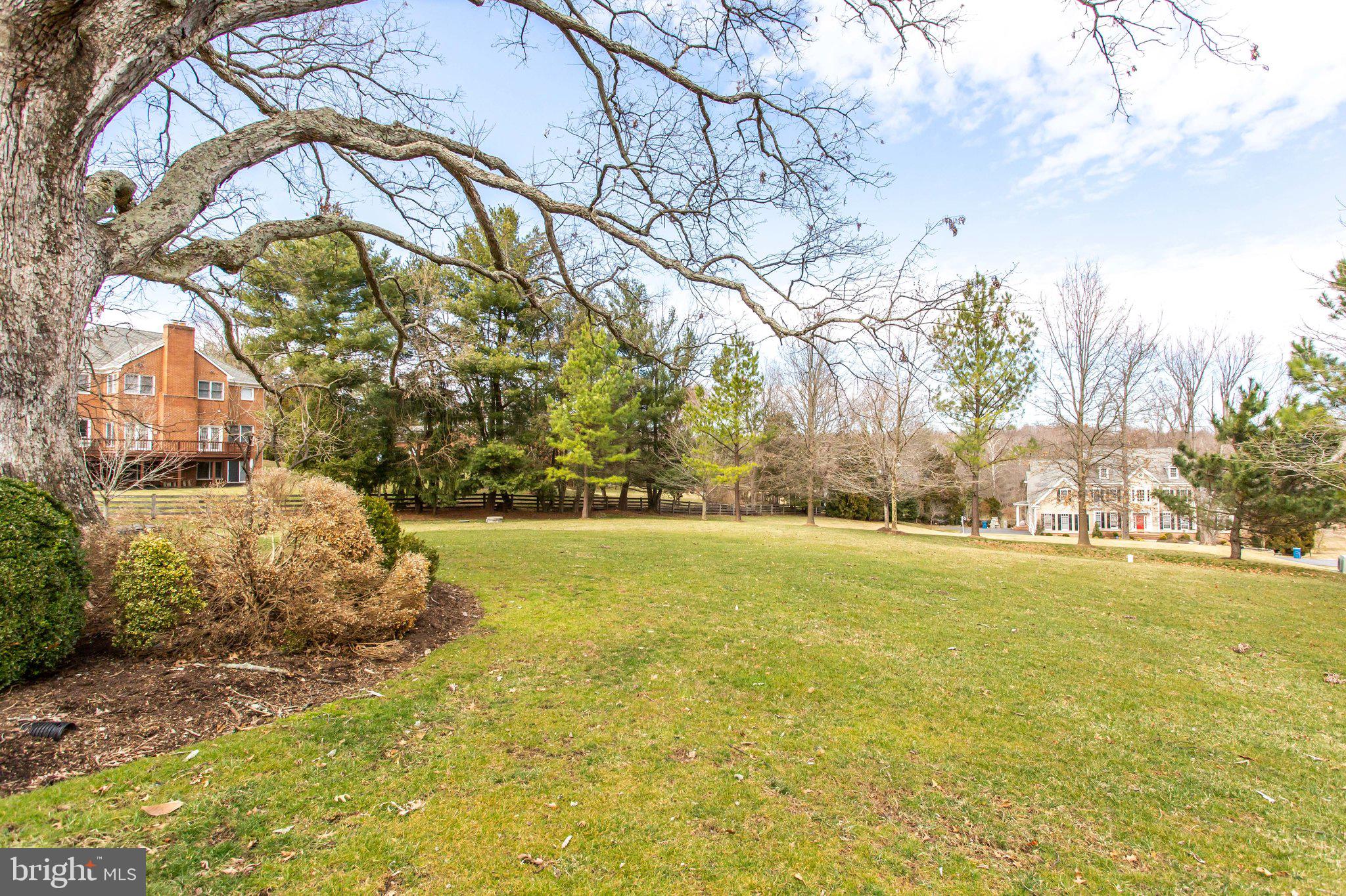 10208 Colvin Run Road Great Falls, VA 22066 - Photo 66 of 67 Room to romp & play