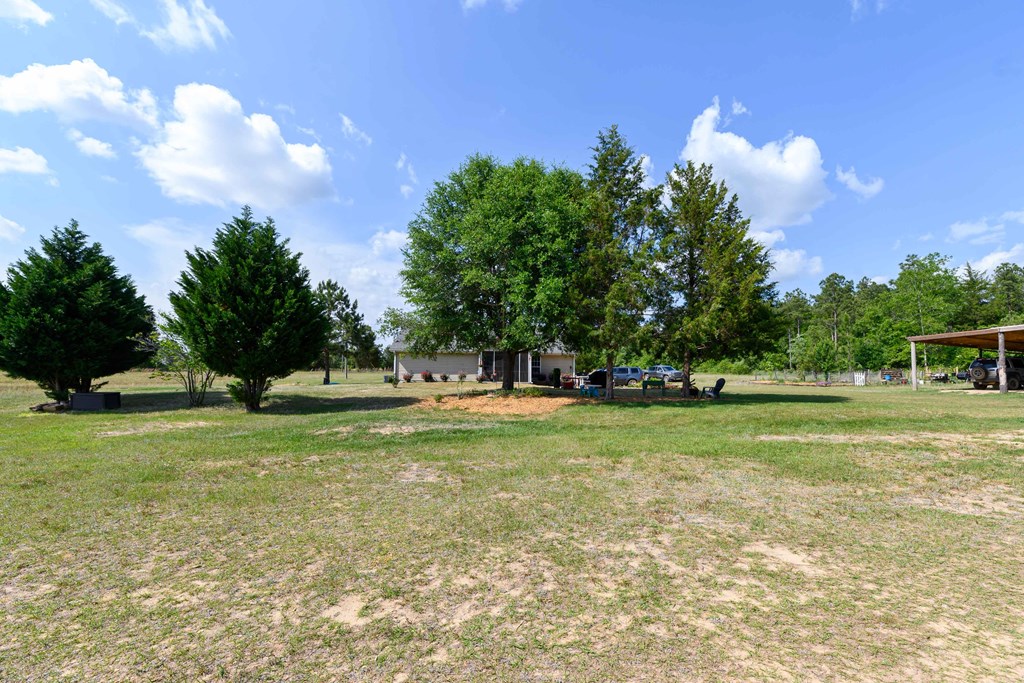 90 Johnson Cemetery Road Mauk, GA 31058 - Photo 18 of 22