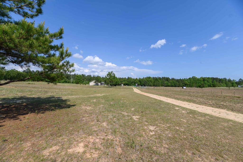90 Johnson Cemetery Road Mauk, GA 31058 - Photo 19 of 22