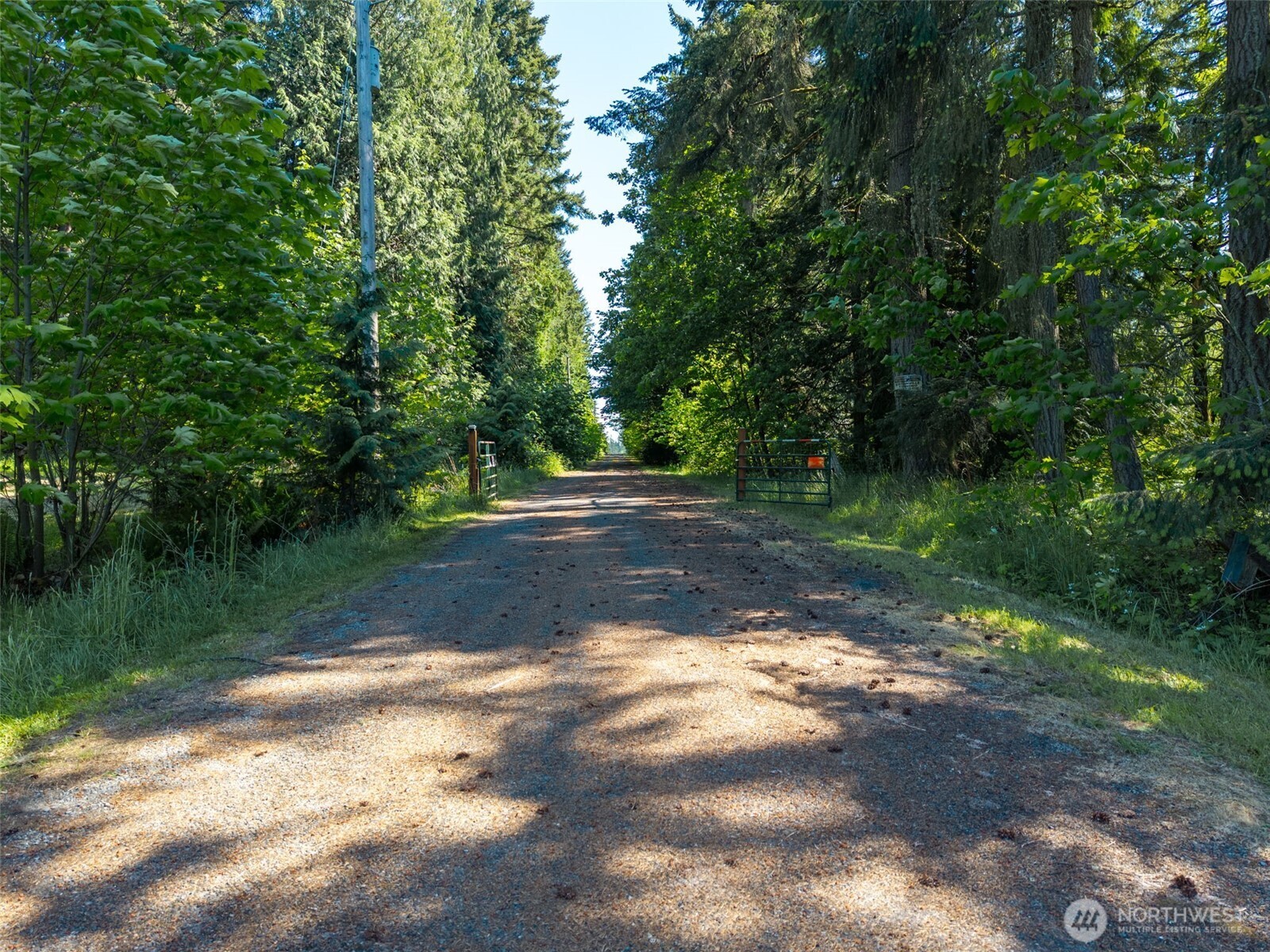 1716 304th Street East Roy, WA 98580 - Photo 7 of 21 a view of backyard with green space