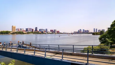 a view of a city and lake