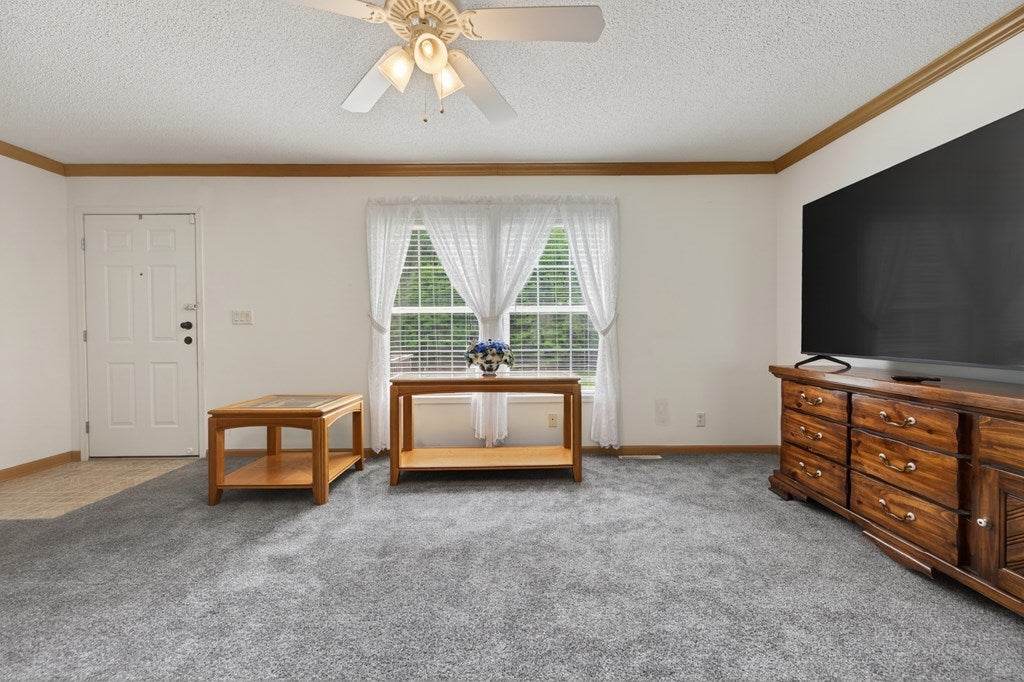 3771 Old Wilderness Road Ceres, VA 24318 - Photo 13 of 83 Gallery Image 13