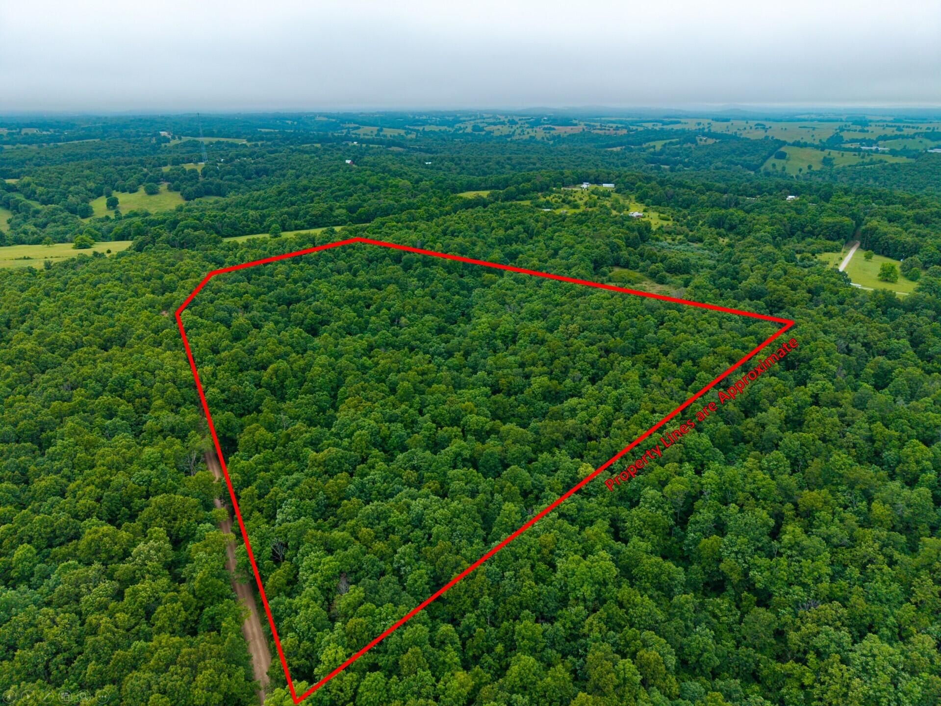 0 Co Road, Unit TRACT 5 Hardenville, MO 65666 - Photo 4 of 9 N 1 Hardenville-6pl