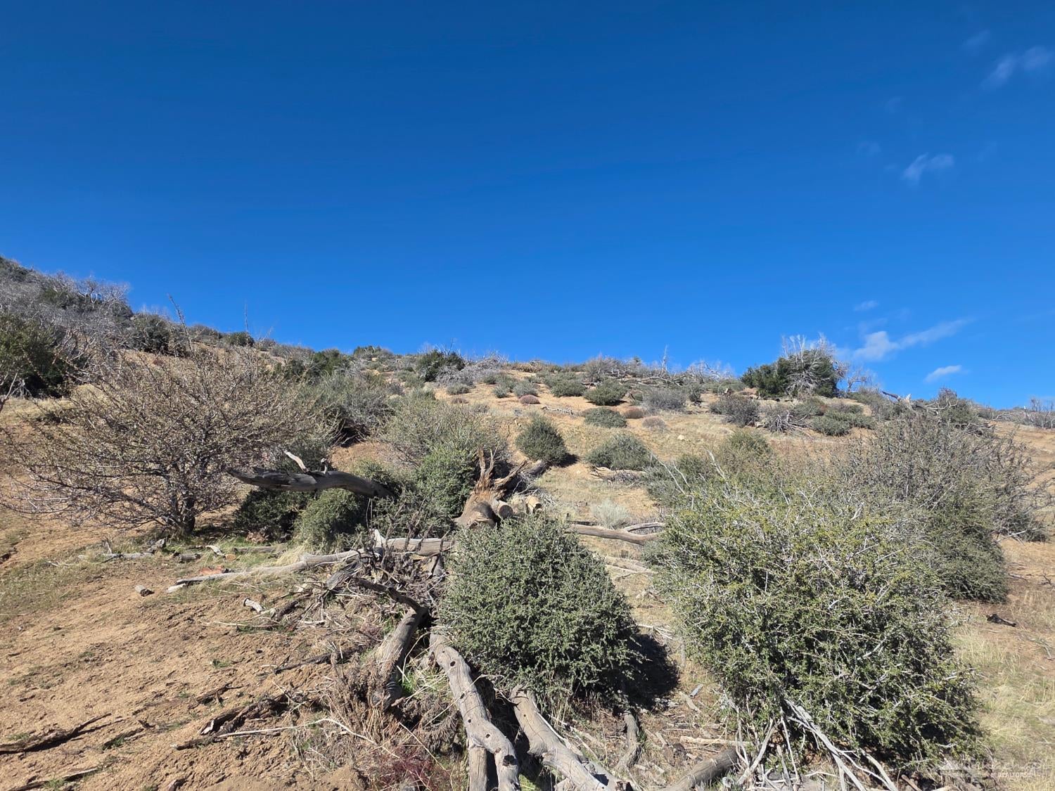 0 Blackburn Canyon Road Tehachapi, CA 93561 - Photo 3 of 6 Gallery Image 3