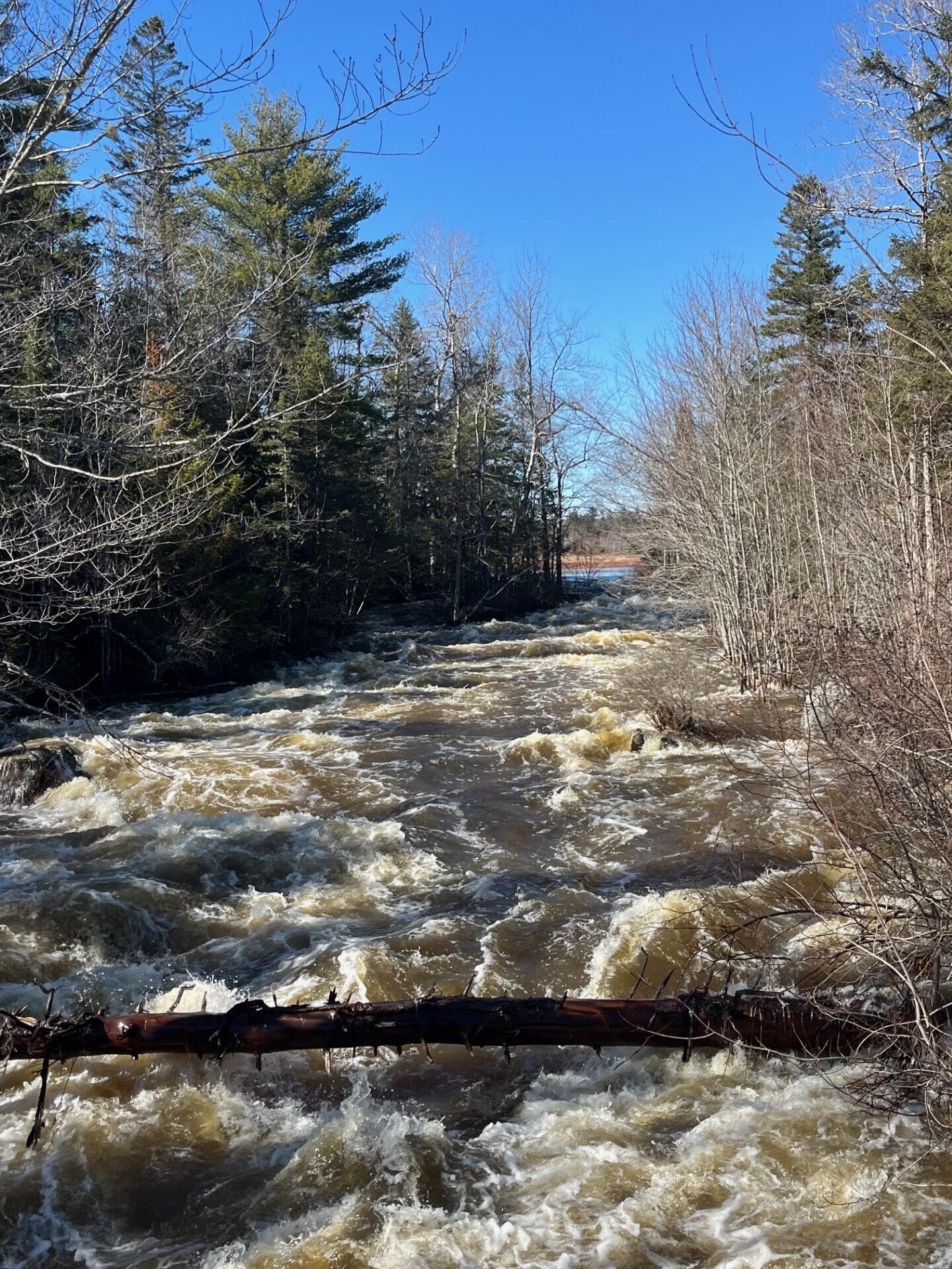 0 East Side Road Steuben, ME 04680 - Photo 2 of 3 photo