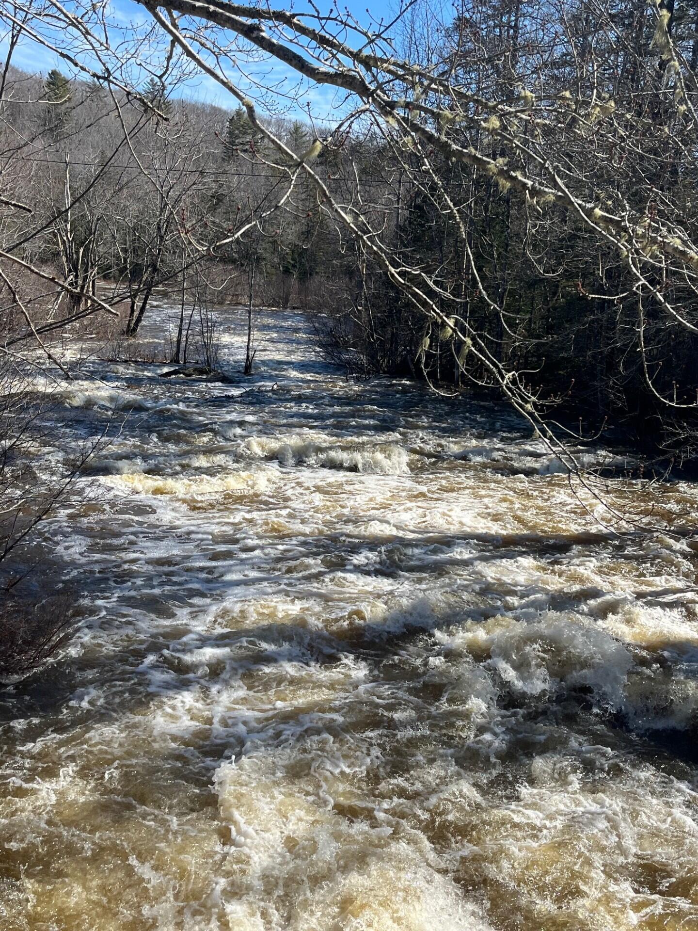 0 East Side Road Steuben, ME 04680 - Photo 3 of 3 E Side Rd