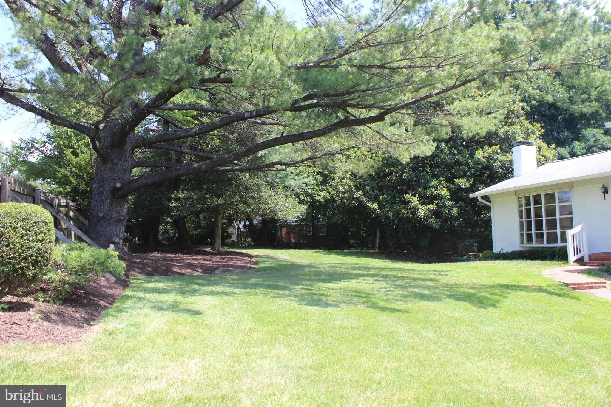 210 Randolph Road Silver Spring, MD 20904 - Photo 27 of 29 Front Yard