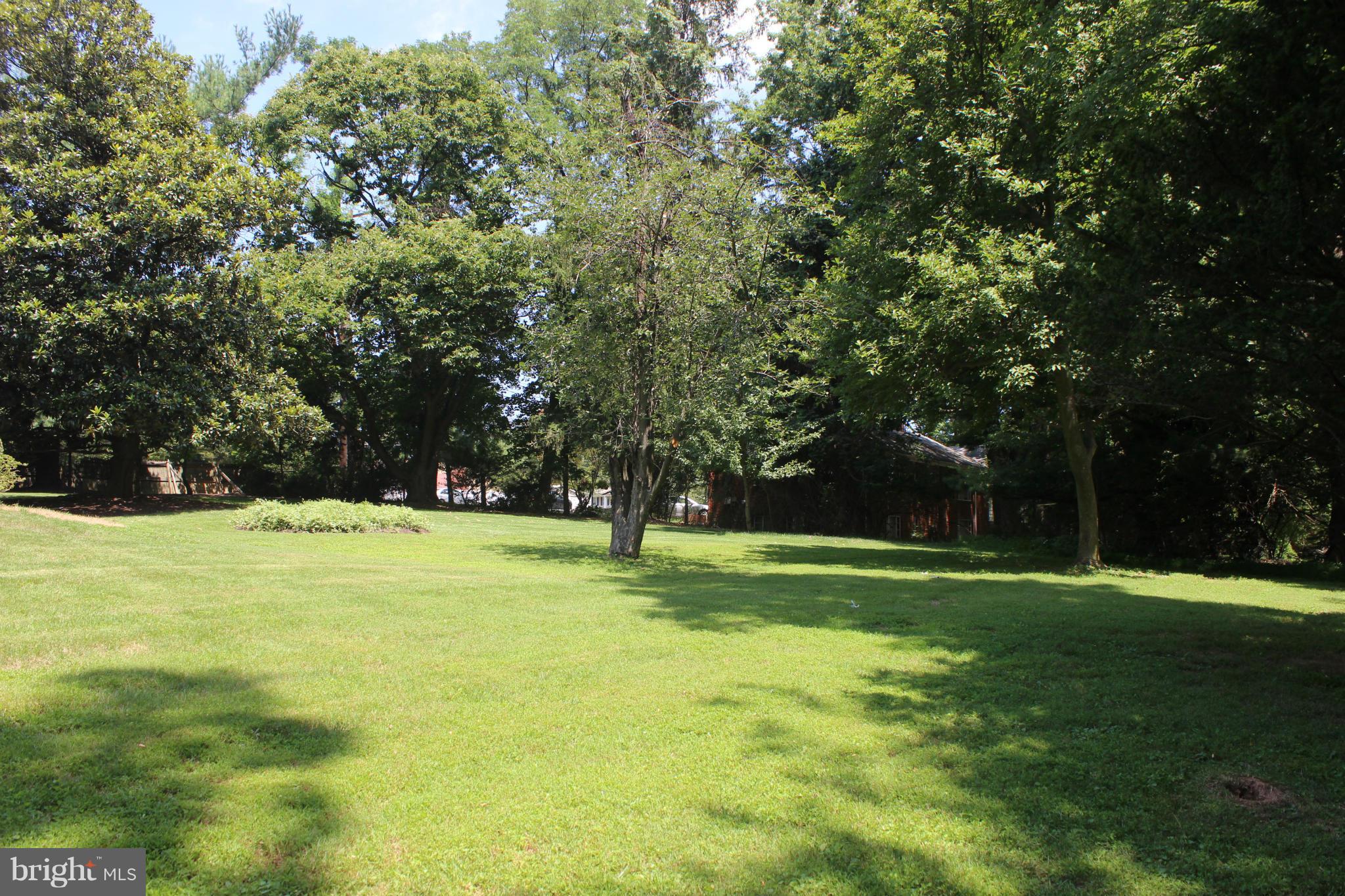 210 Randolph Road Silver Spring, MD 20904 - Photo 5 of 29 Large Yard