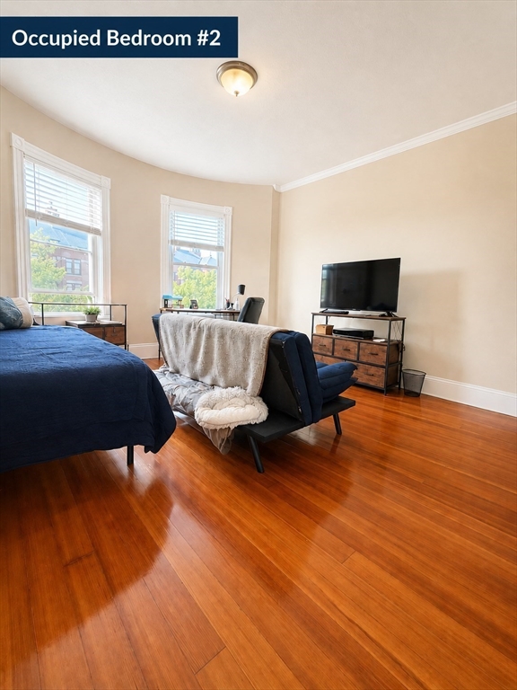 781 Columbia Road, Unit 3 Boston, MA 02125 - Photo 7 of 14