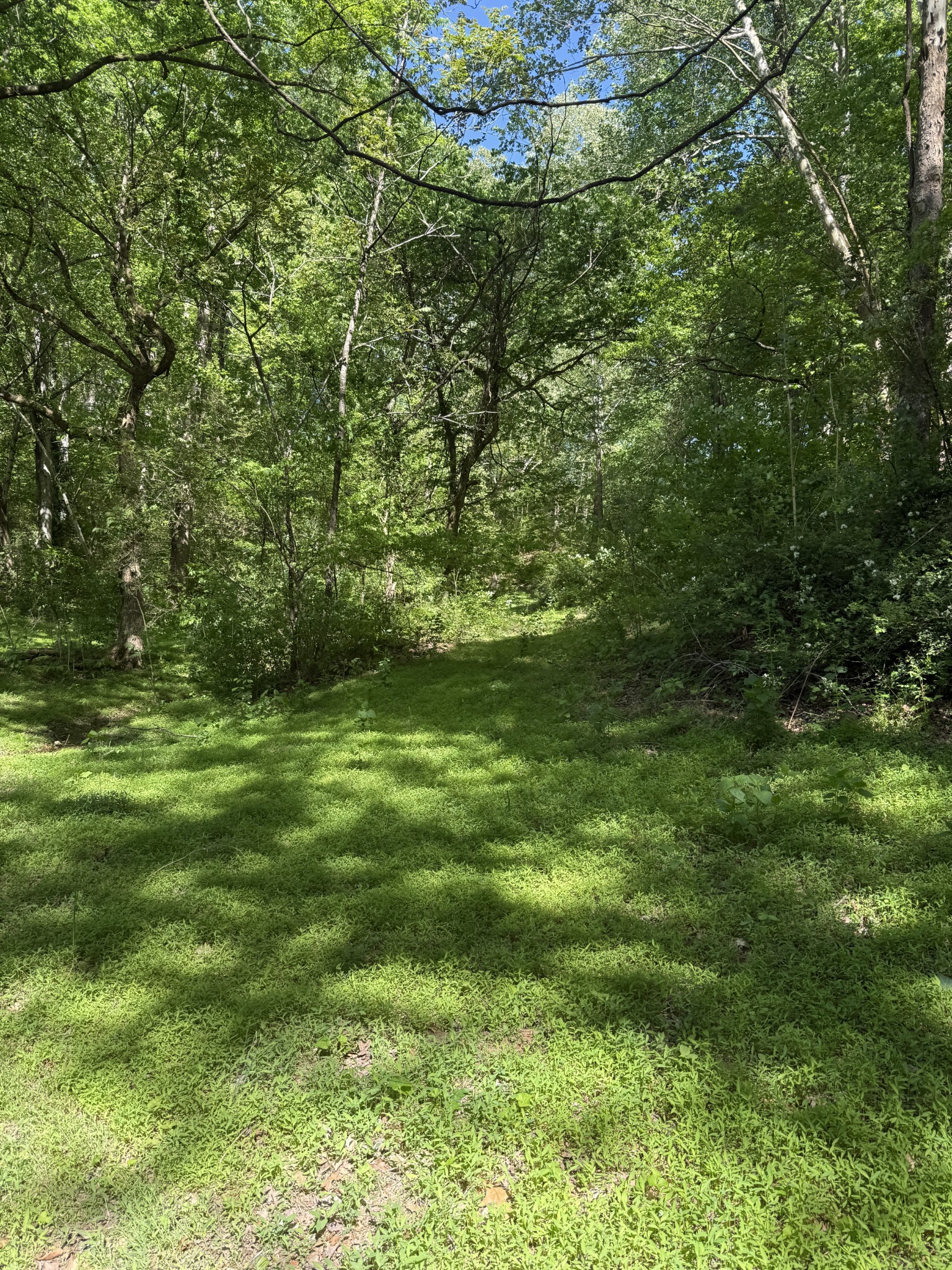 540 Powell Hollow Road Tullahoma, TN 37388 - Photo 98 of 99 Gallery Image 98