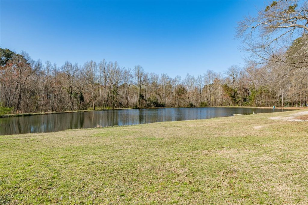 263 Greenville Road Warrenville, SC 29851 - Photo 2 of 42