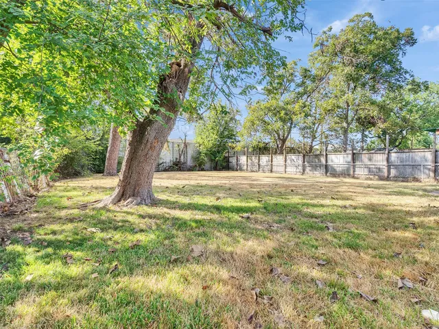 a view of a yard with a tree