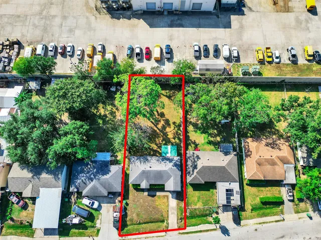 a bunch of flowers are in a yard