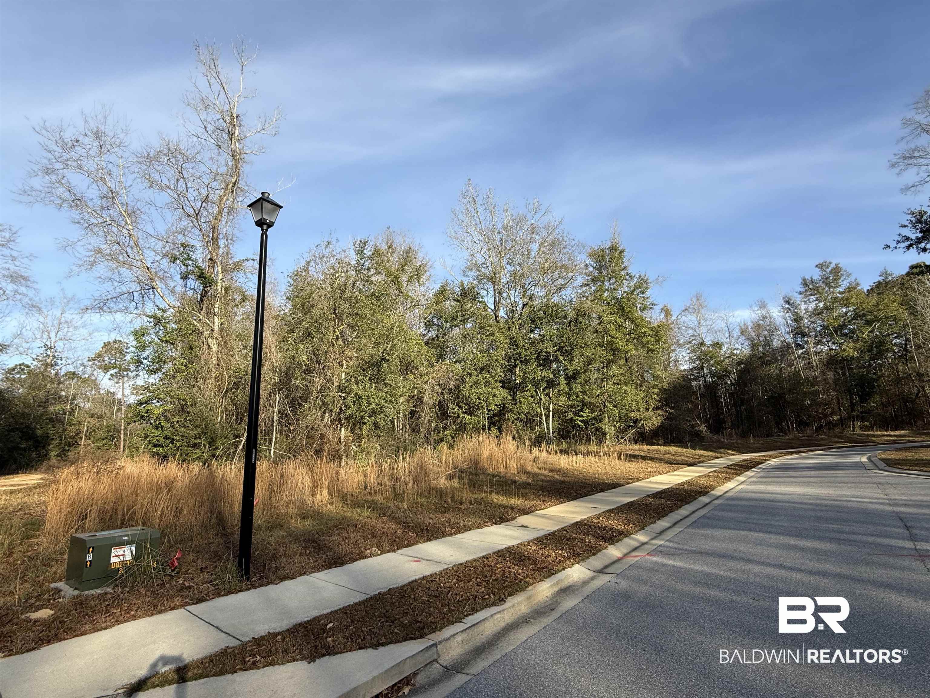 32788 Wildflower Trail Daphne, AL 36527 - Photo 4 of 4 View of asphalt road featuring street lights, sidewalks, and curbs
