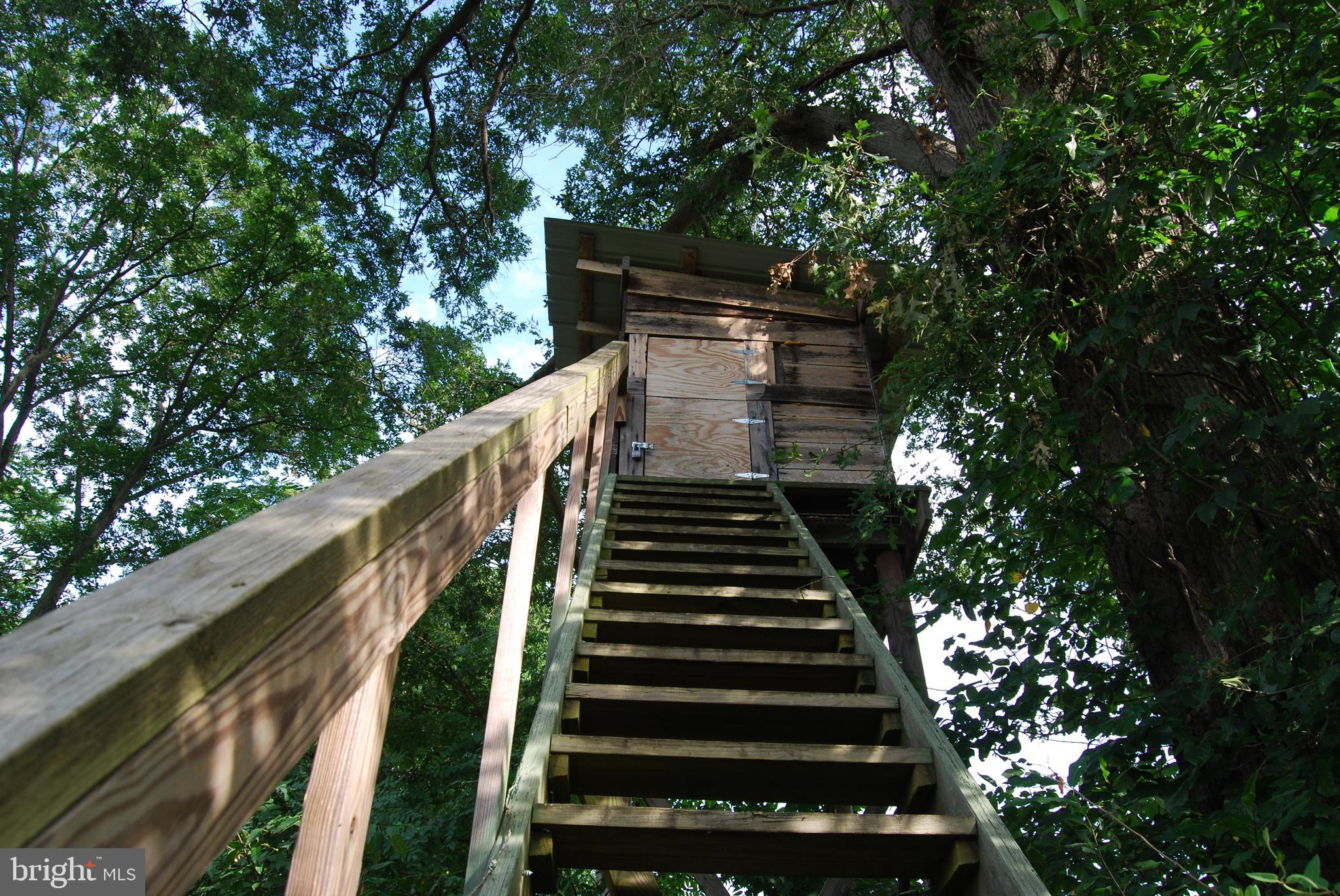 2251 Householder Road Hedgesville, WV 25427 - Photo 11 of 65 a view of entryway