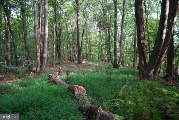 a view of outdoor space and green space
