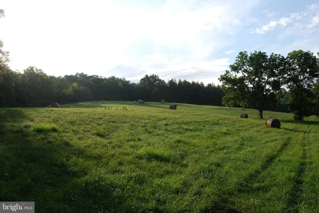 a view of an outdoor space and a yard