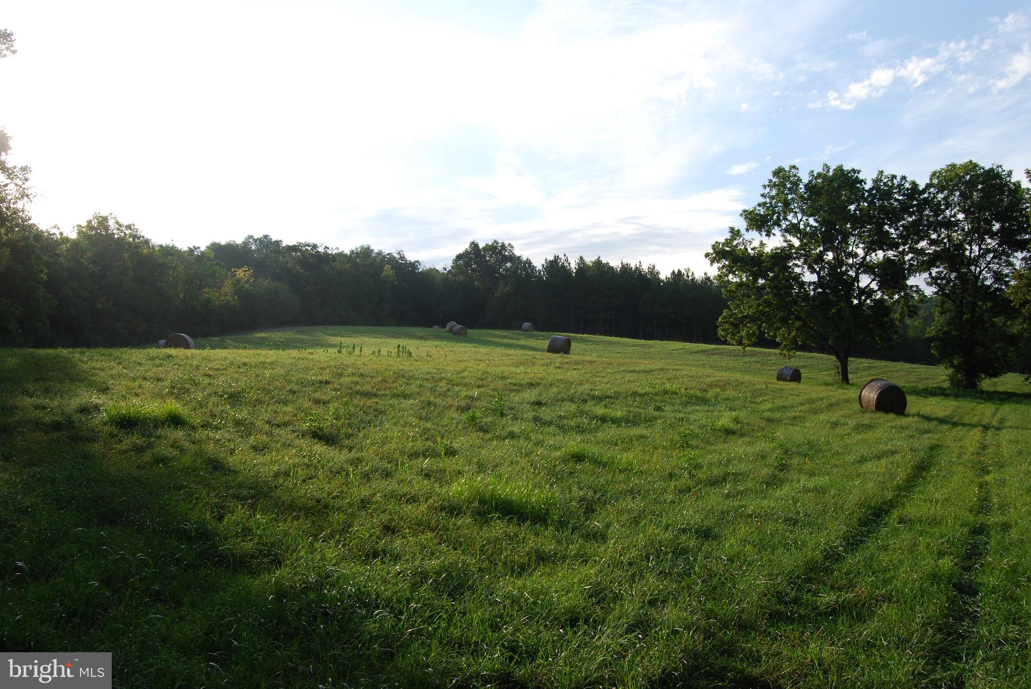 2251 Householder Road Hedgesville, WV 25427 - Photo 14 of 65