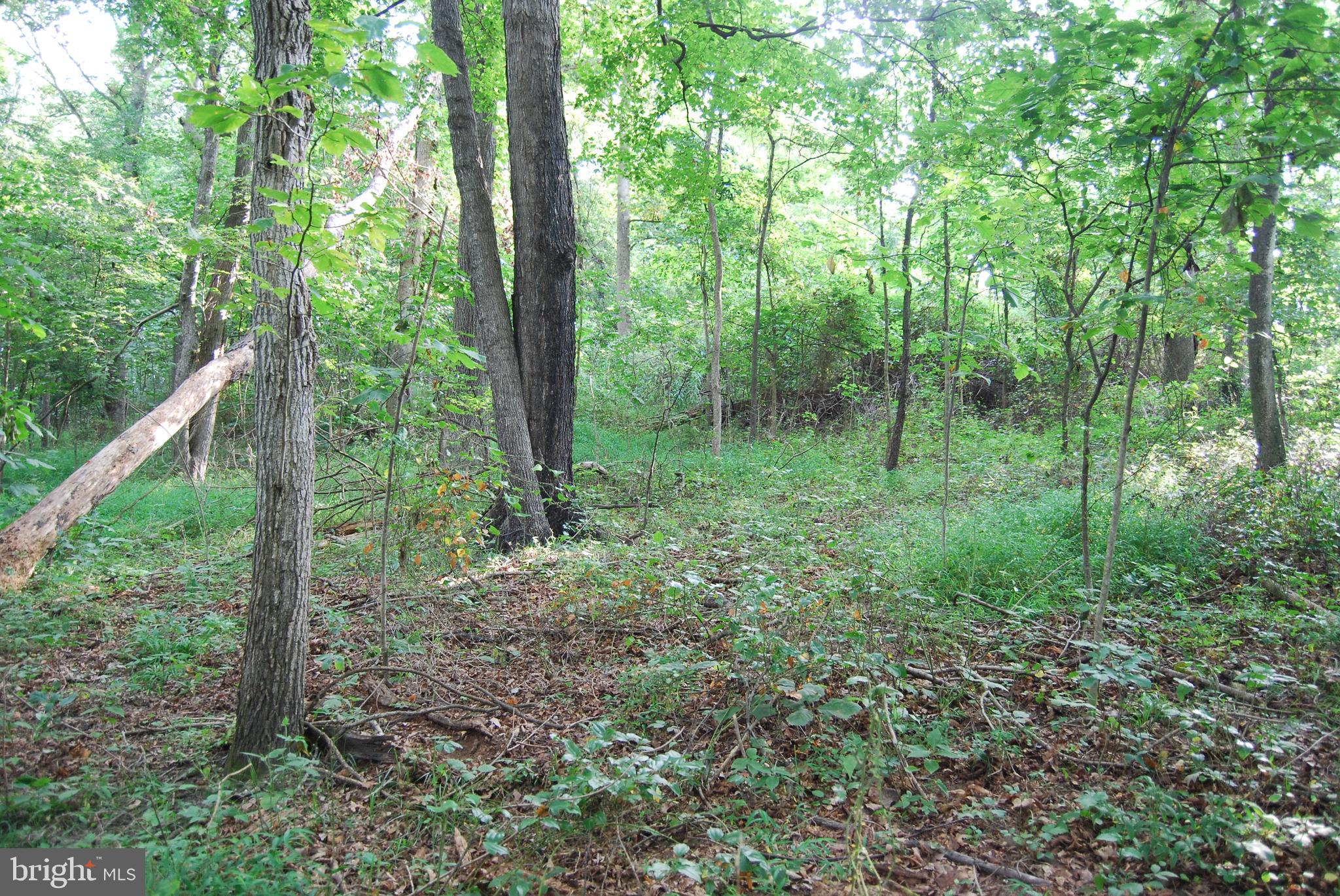 2251 Householder Road Hedgesville, WV 25427 - Photo 17 of 65 a view of outdoor space and green space