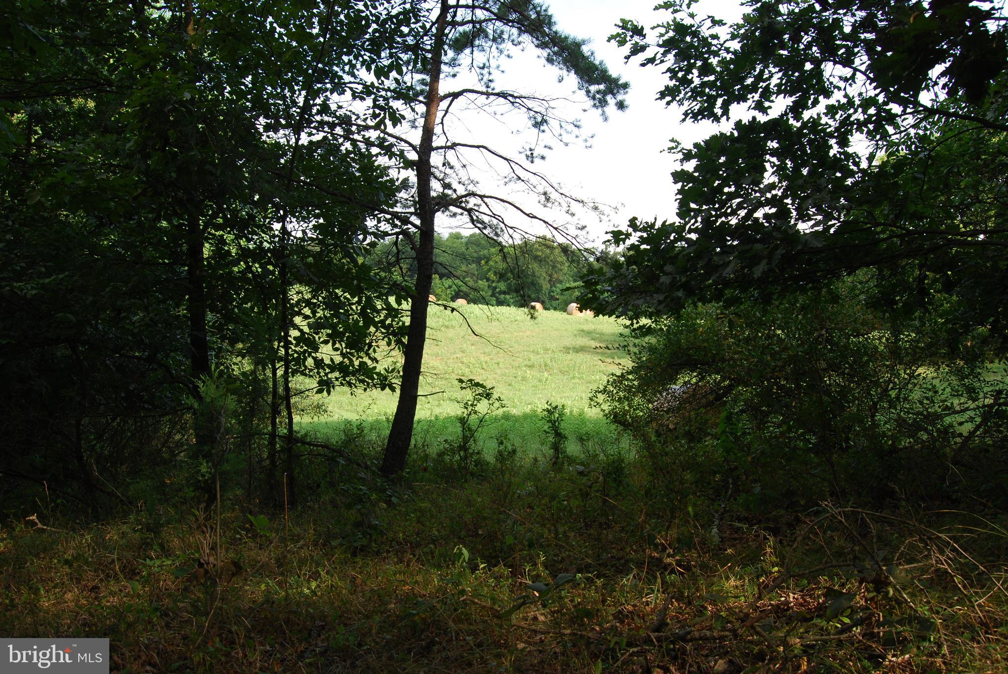 2251 Householder Road Hedgesville, WV 25427 - Photo 18 of 65 a view of an outdoor space and a yard