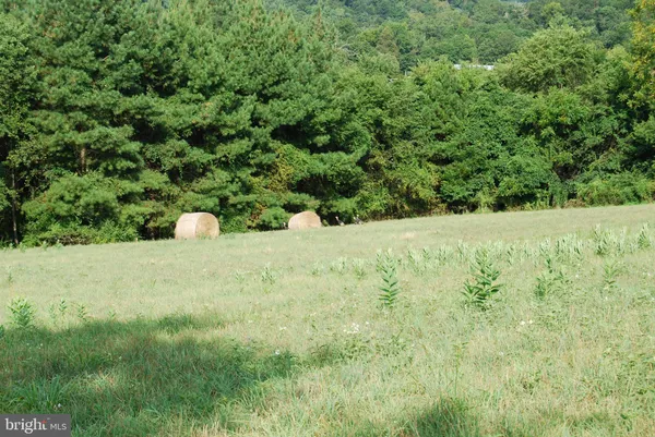 a view of outdoor space with trees
