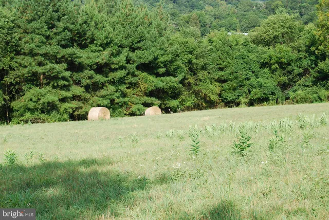 a view of outdoor space with trees