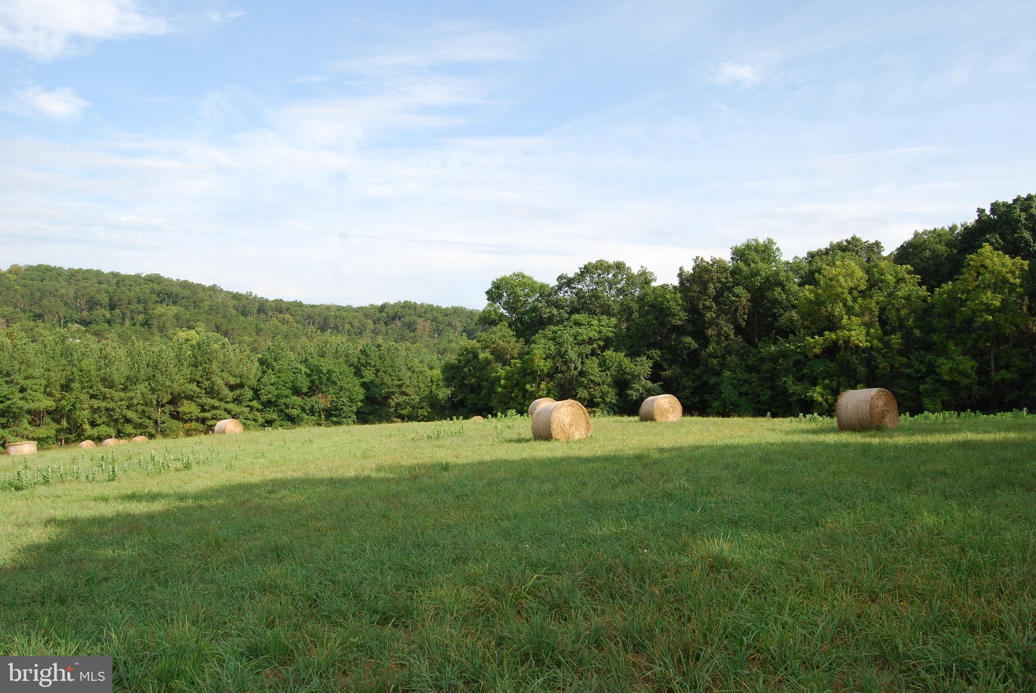 2251 Householder Road Hedgesville, WV 25427 - Photo 22 of 65 a view of a grassy field with trees