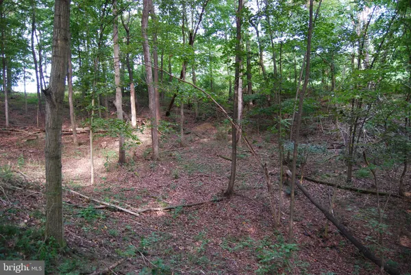 a view of outdoor space with deck and yard
