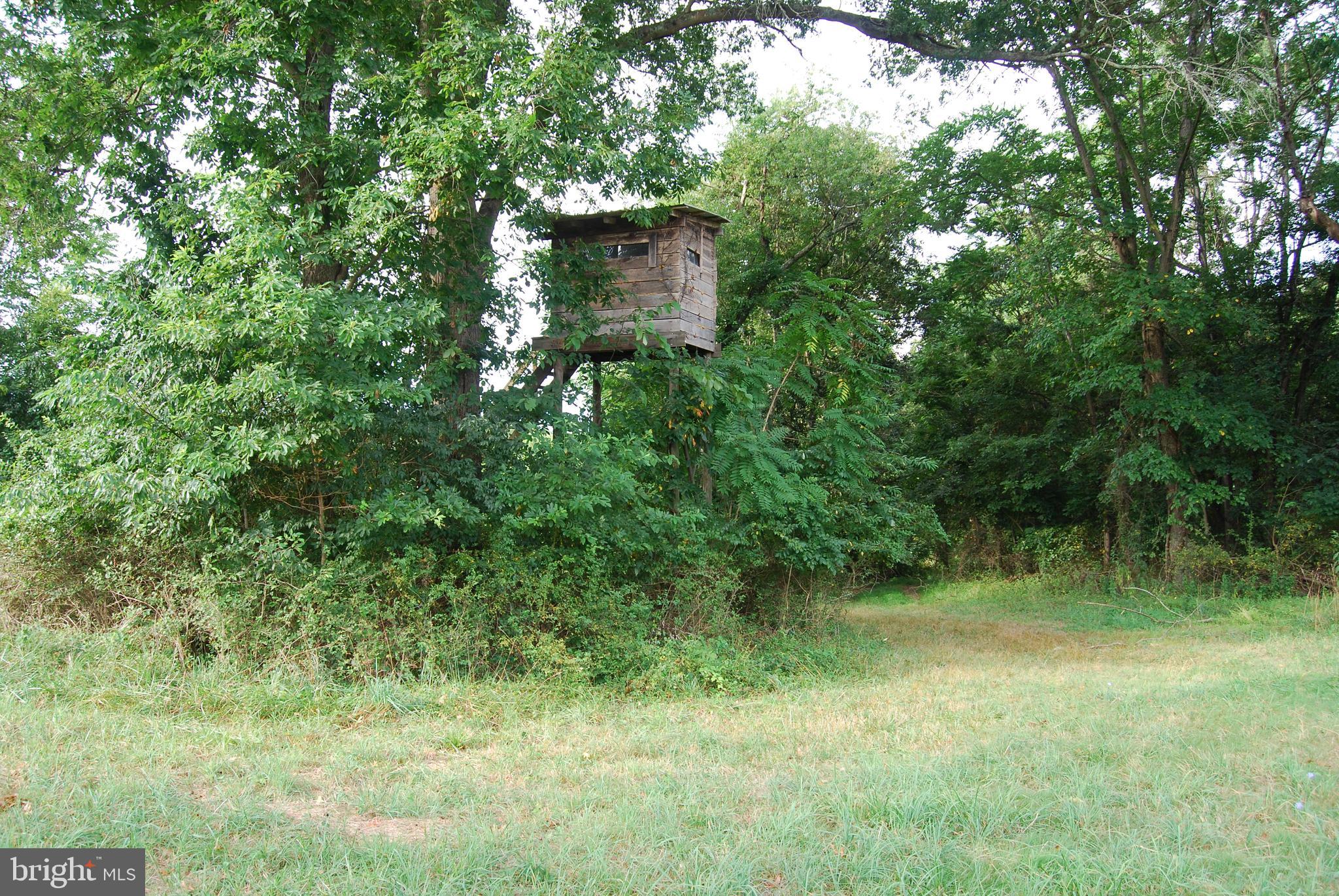 2251 Householder Road Hedgesville, WV 25427 - Photo 26 of 65 a view of a lush green space