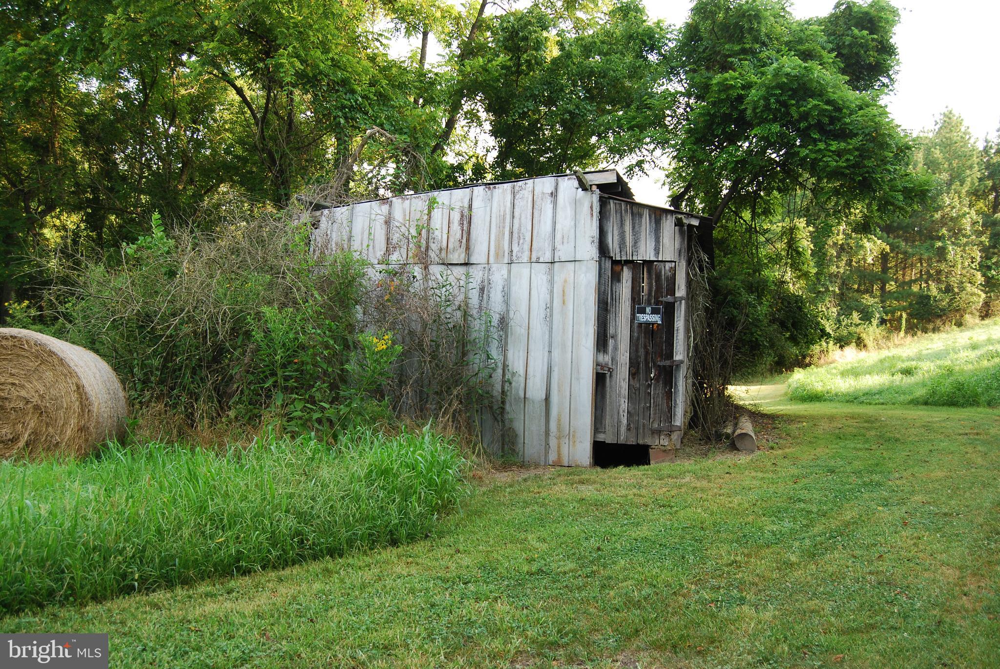 2251 Householder Road Hedgesville, WV 25427 - Photo 27 of 65 a view of a backyard with potted plants and large tree
