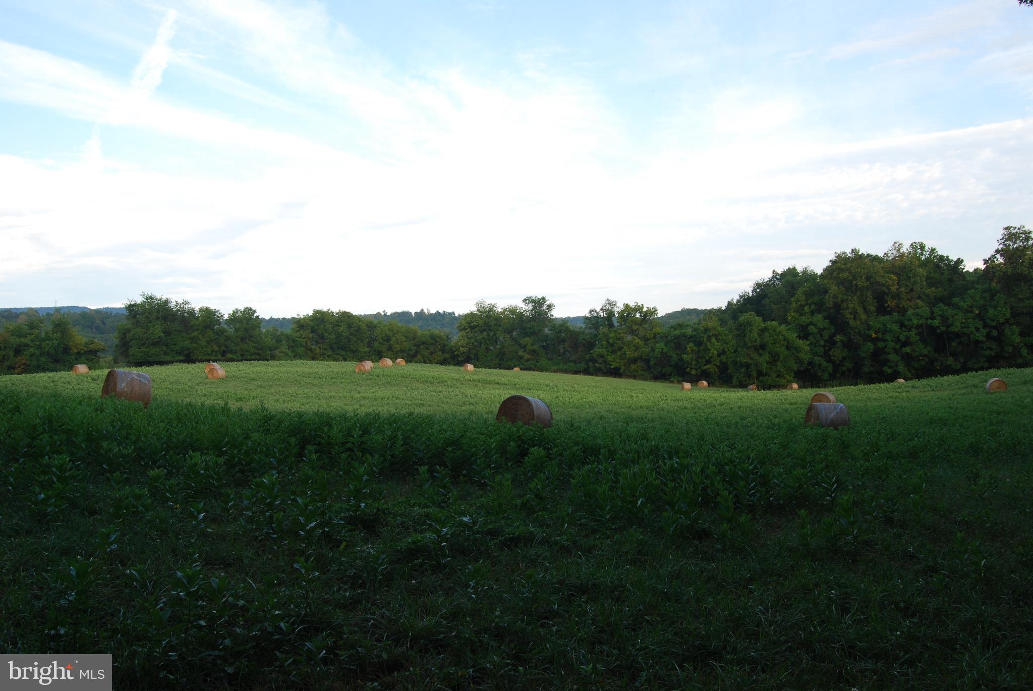 2251 Householder Road Hedgesville, WV 25427 - Photo 36 of 65