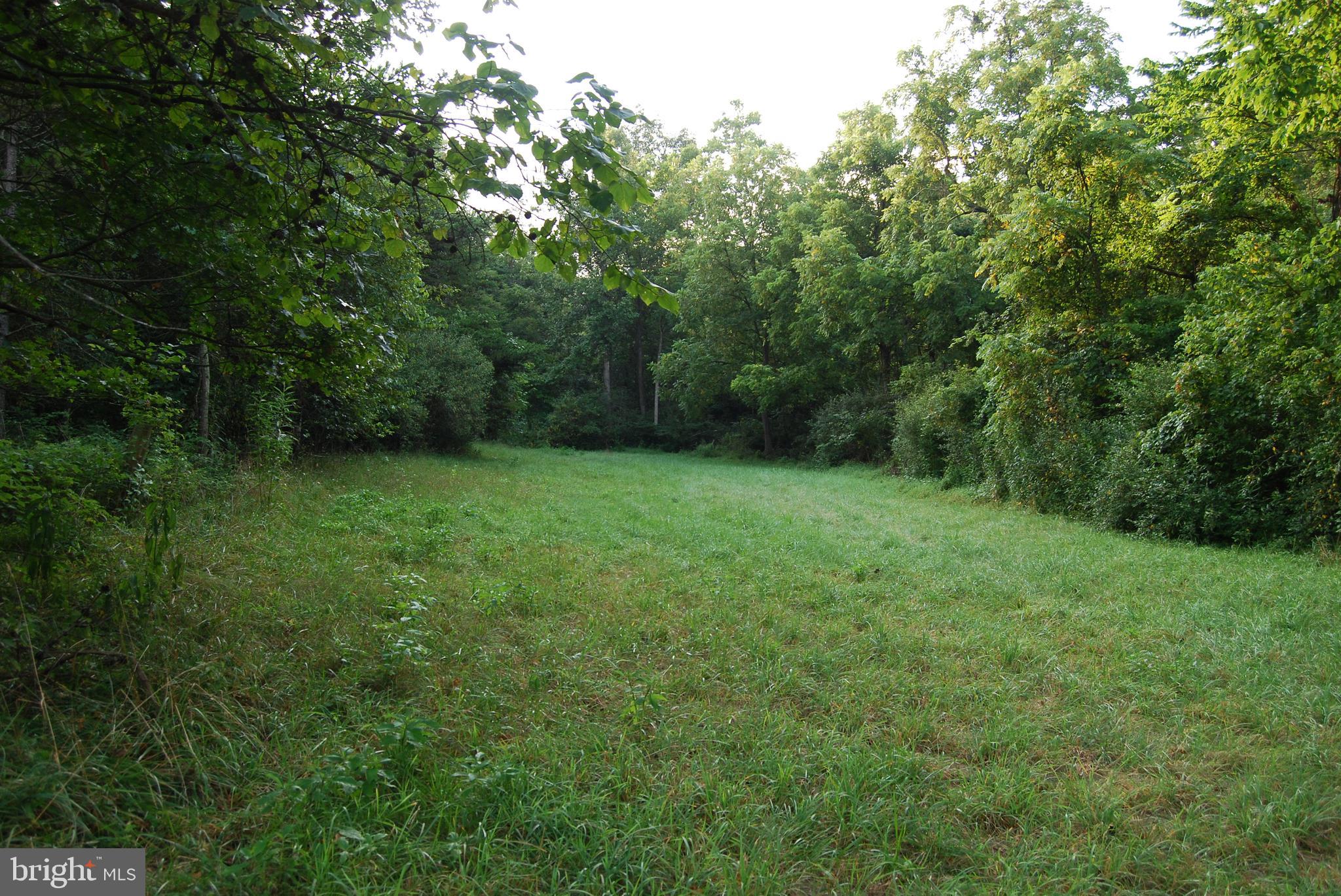 2251 Householder Road Hedgesville, WV 25427 - Photo 37 of 65 a view of a big yard with large trees