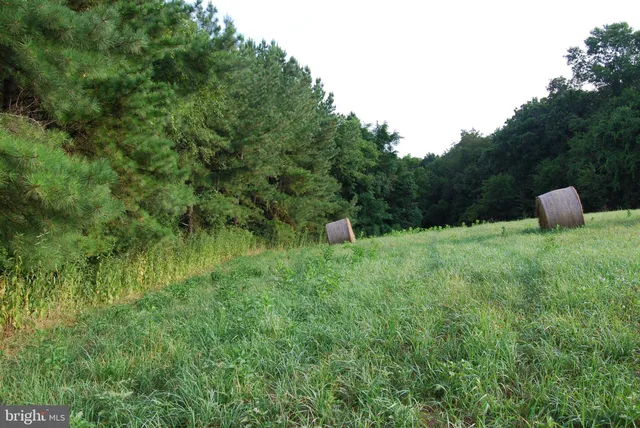 a backyard of a house with lots of green space and chair