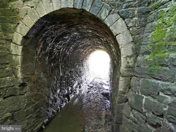 a view of outdoor space and garden