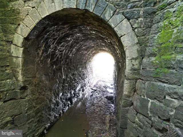 a view of outdoor space and garden