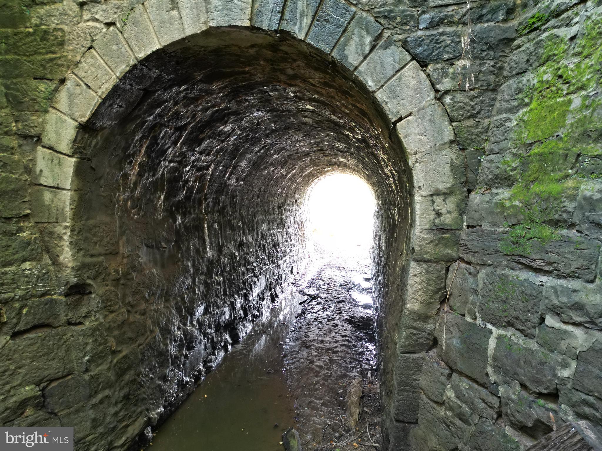 2251 Householder Road Hedgesville, WV 25427 - Photo 4 of 65 a view of outdoor space and garden