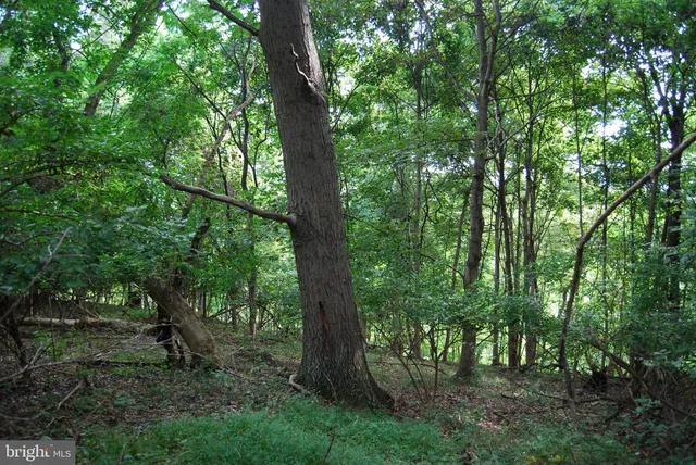 a table with some potted plants and a stove